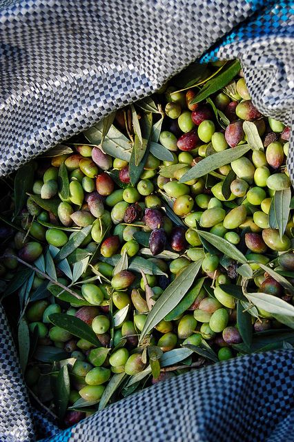 Sac d'olive